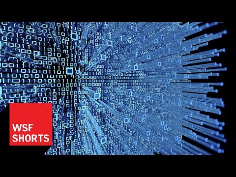 Understanding Algorithms: The Hidden Force Behind AI Decisions 🤖