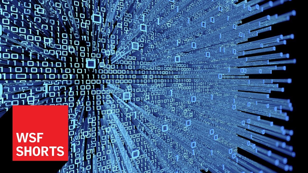 Understanding Algorithms: The Hidden Backbone of AI in Our Lives 🤖