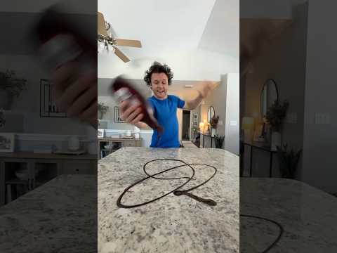 Trying to keep a clean house with a toddler.