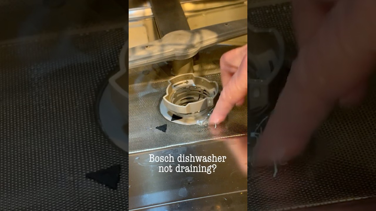 Bosch Dishwasher Not Draining? Easy DIY Fix to Try First 🚿