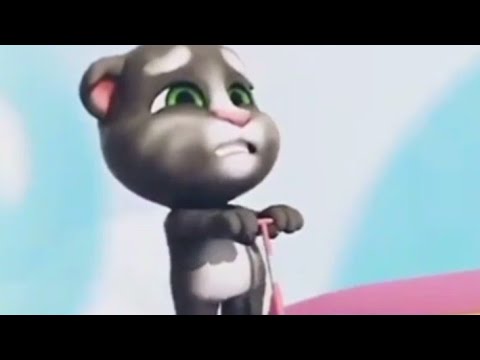 Funny Cat Video by Mu Mu Tookids 🐱