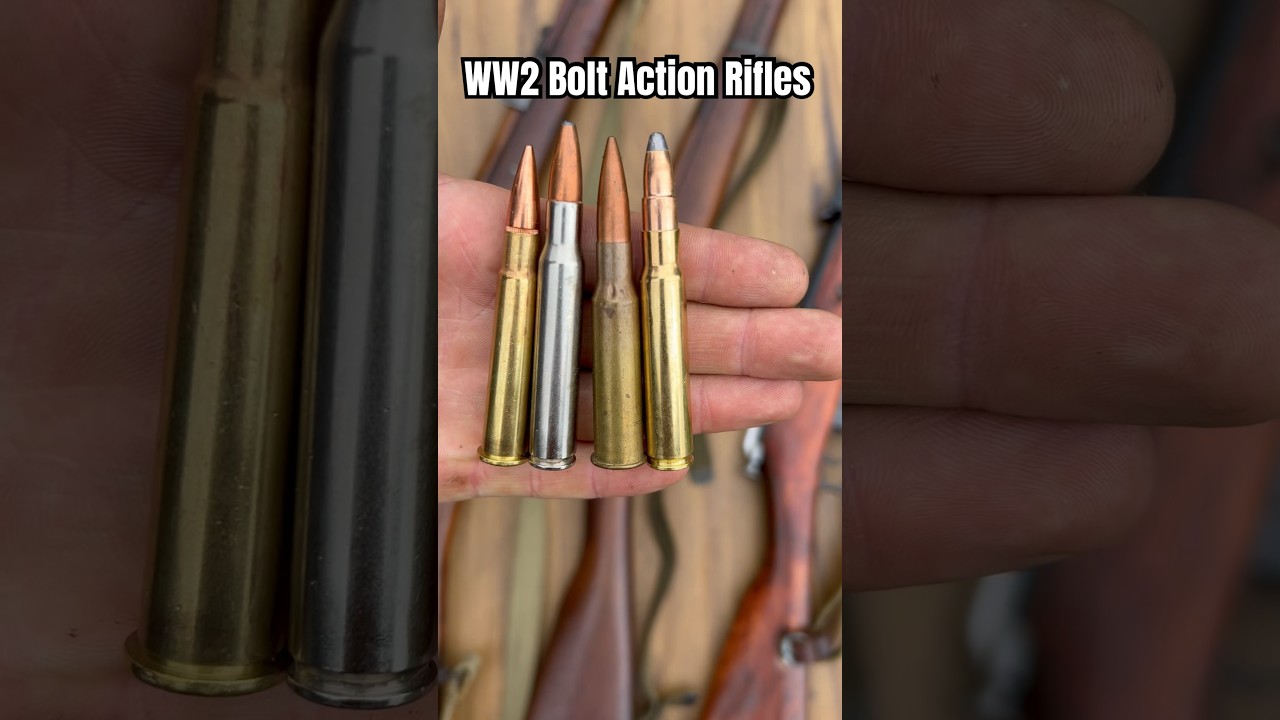 WW2 Top WW2 Bolt Action Rifles You Should Know 🇺🇸