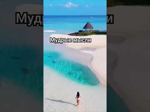 #мелодиядуши #цитатыосмысле #природа_летом #летоэтомаленькаяжизнь #моменты #мечта #мудрыемысли