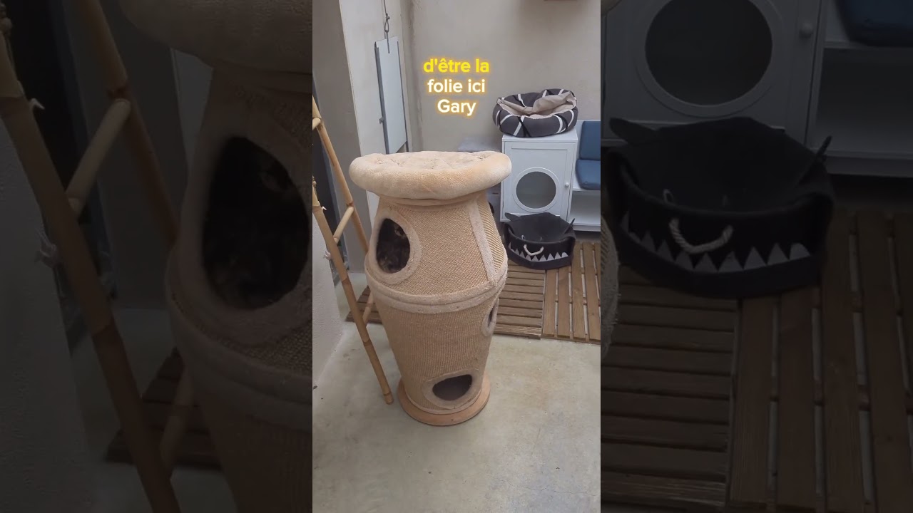 BERTIE sonne le clairon ! - Pension CHEZ MARTH' 87