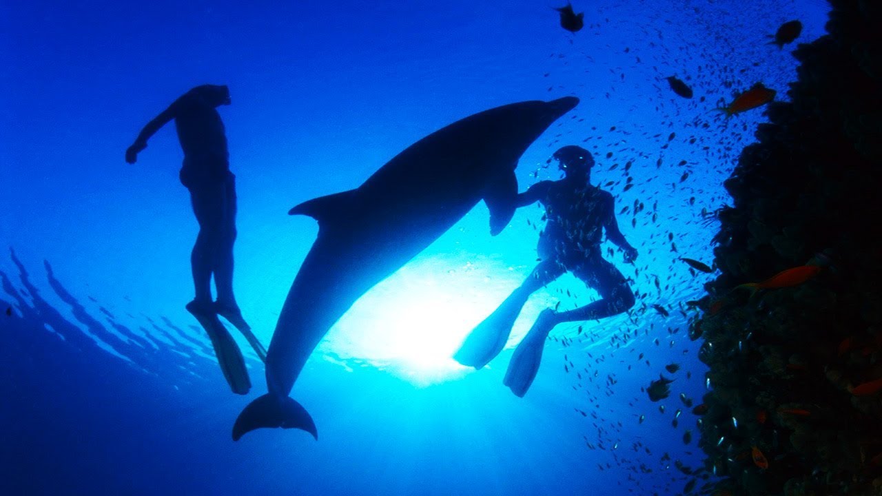 Тихая Медитативная Музыка для Глубокой Релаксации 🌊