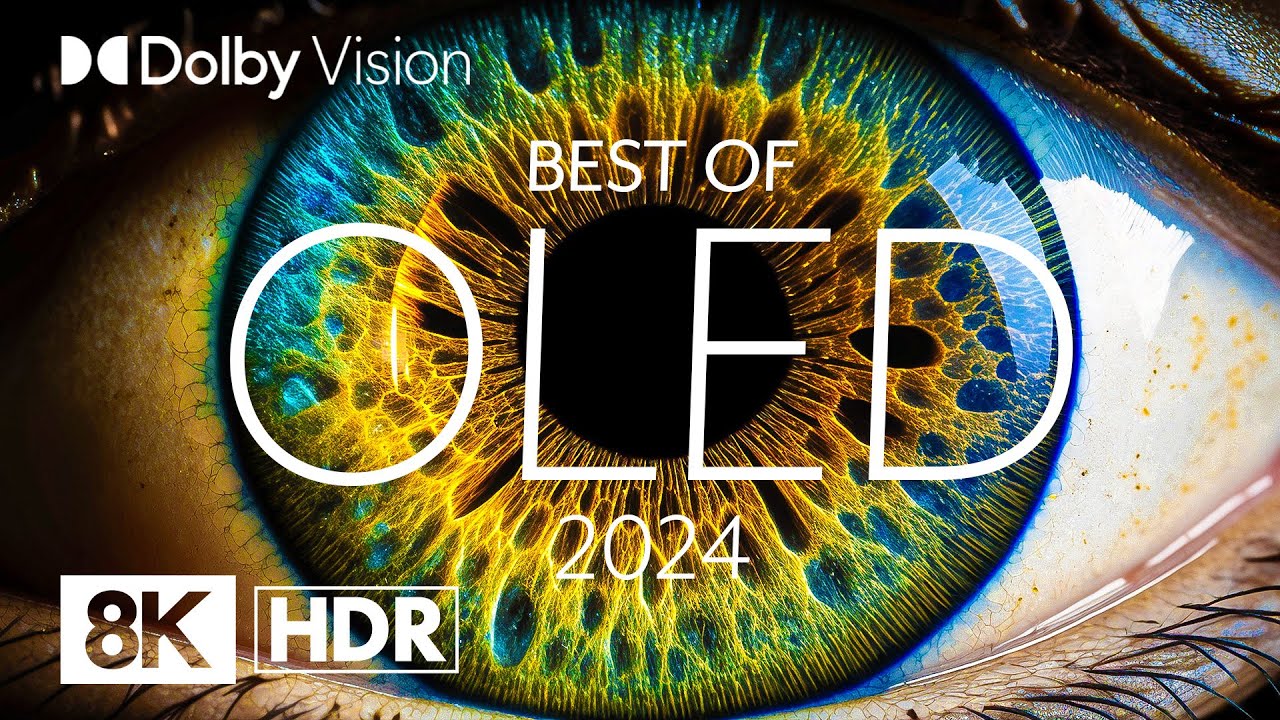 Best OLED TVs of 2024 | Dolby Vision® 8K HDR Performance