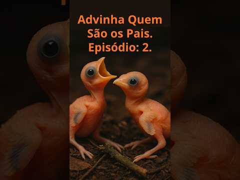 Advinha quem são os pais. Episódio: 2.
