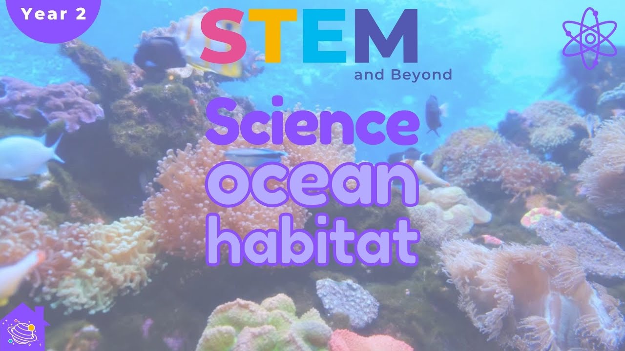 Ocean Habitats for Kids 🌊 | Year 2 STEM Learning