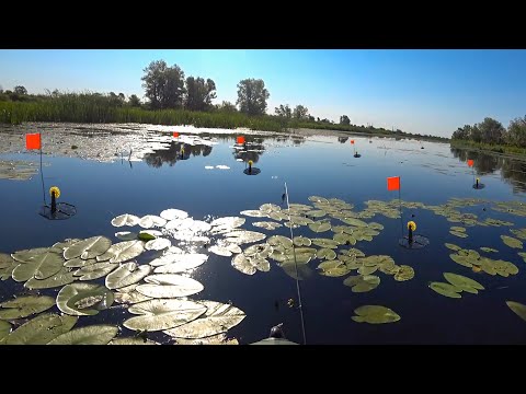 Рыбалка на ЛЕТНИЕ ЖЕРЛИЦЫ! Щука сходит с ума от этой снасти!