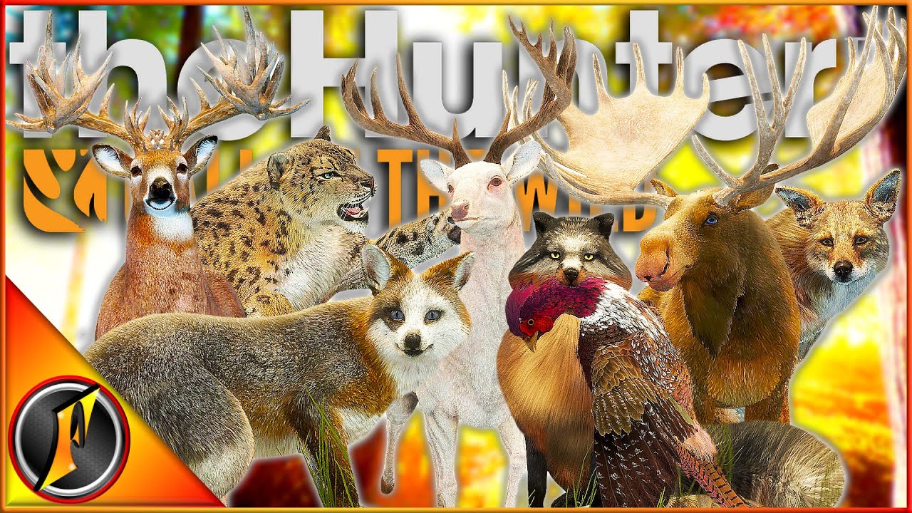 Top 10 Call of the Wild Trophies Ever 🏆