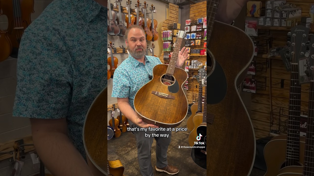 Top Budget Guitar Under $500 🎸