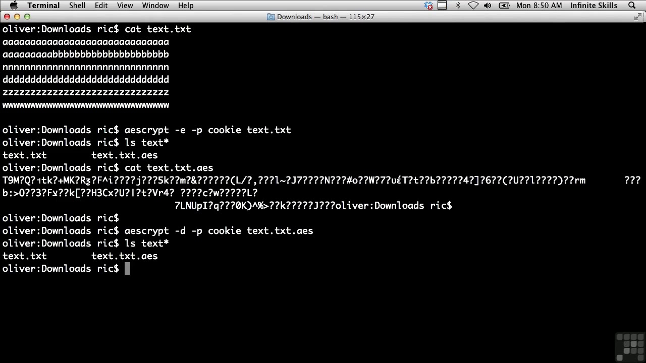 Ethical Hacking Tutorial #29: Exploring Types of Cryptography 🔐