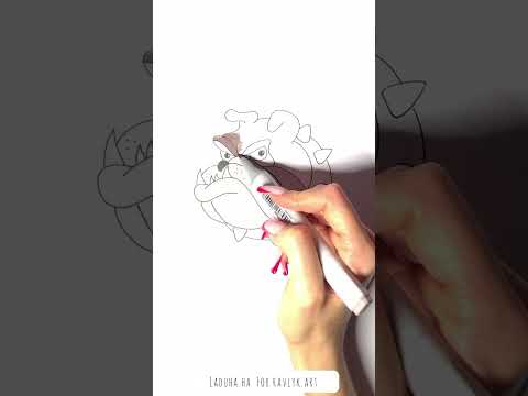 🐾 Cartoon Cutie 📺 Draw Spike the English Bulldog from Tom and Jerry📺 📢#shorts #drawing #RavlykArt