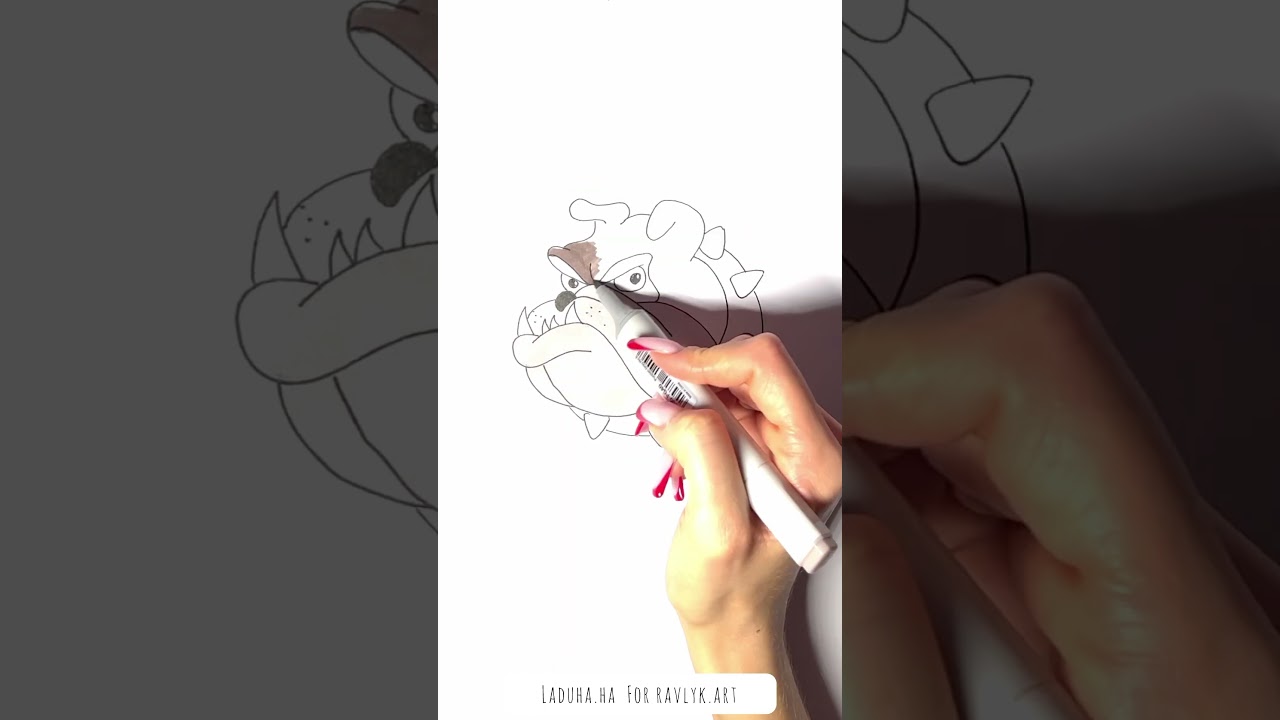 Cartoon Drawing of Spike the English Bulldog from Tom and Jerry