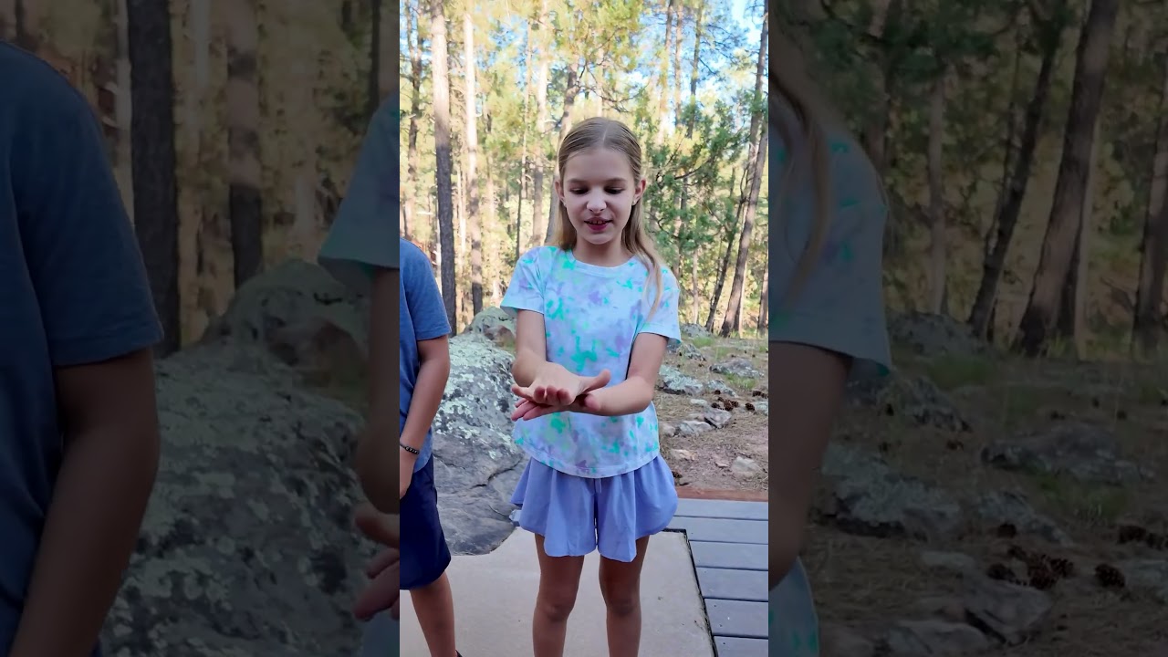 J House: Family Fun with Rock, Paper, Scissors 🎮