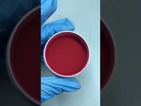 STORYTIME: MY BOYFRIEND CHEATED ON ME WITH MY BESTFRIEND đĄđ±