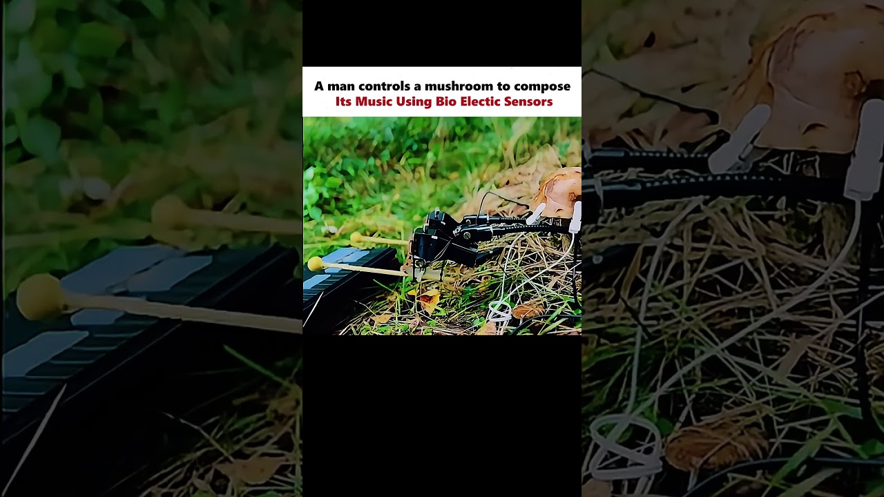 Mushroom Became A Musician 🍄#physics #scienceexplained