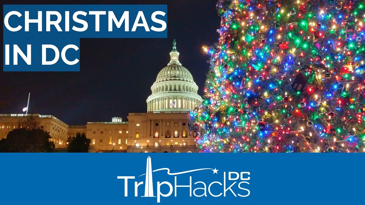 Top Free Things to Do in Washington DC This Christmas 🎄