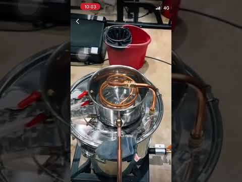 home made alcohol whiskey desi daru at home