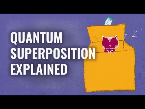 Superposition Explained (Schrödinger's Cat) | Perimeter Institute for Theoretical Physics