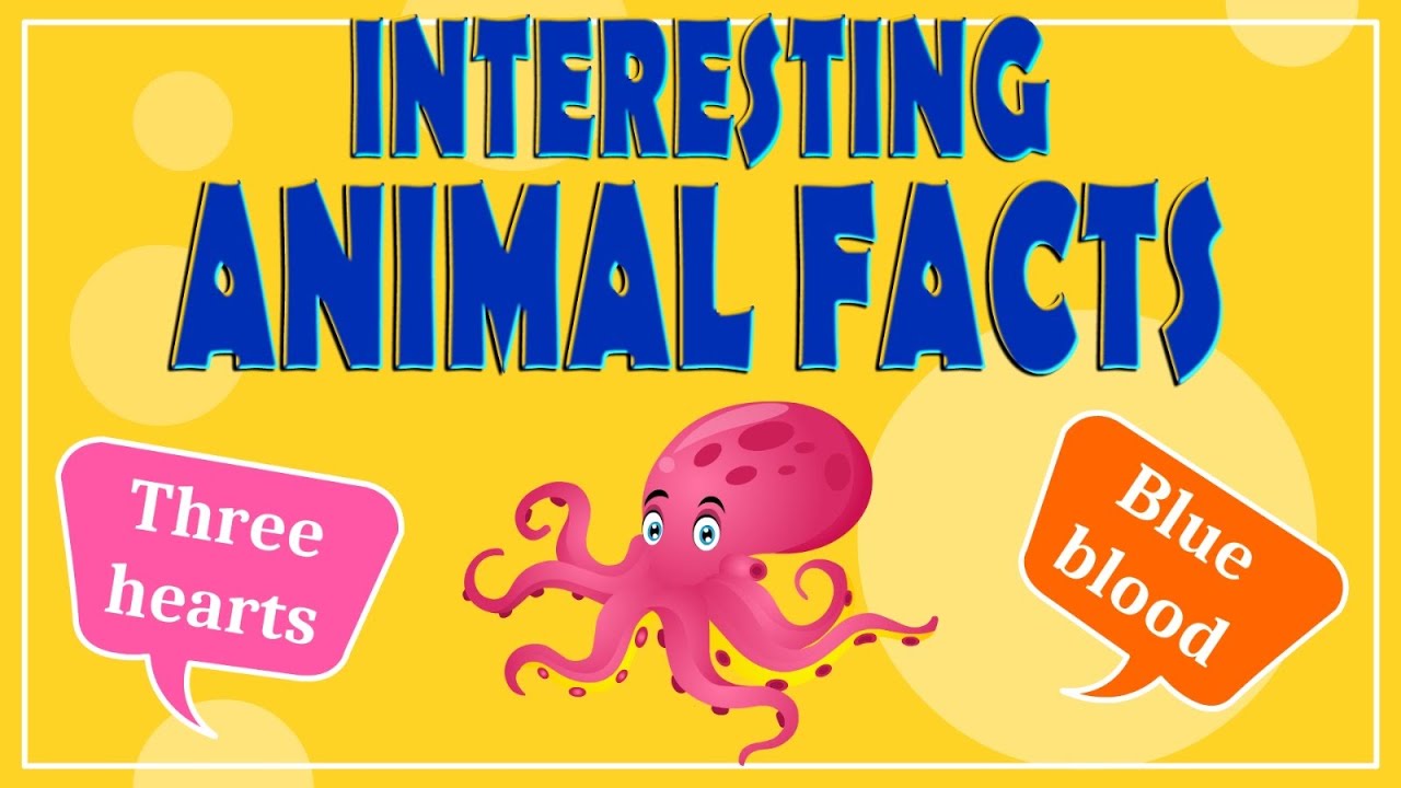 Fun Animal Facts You Didn’t Know 🐾