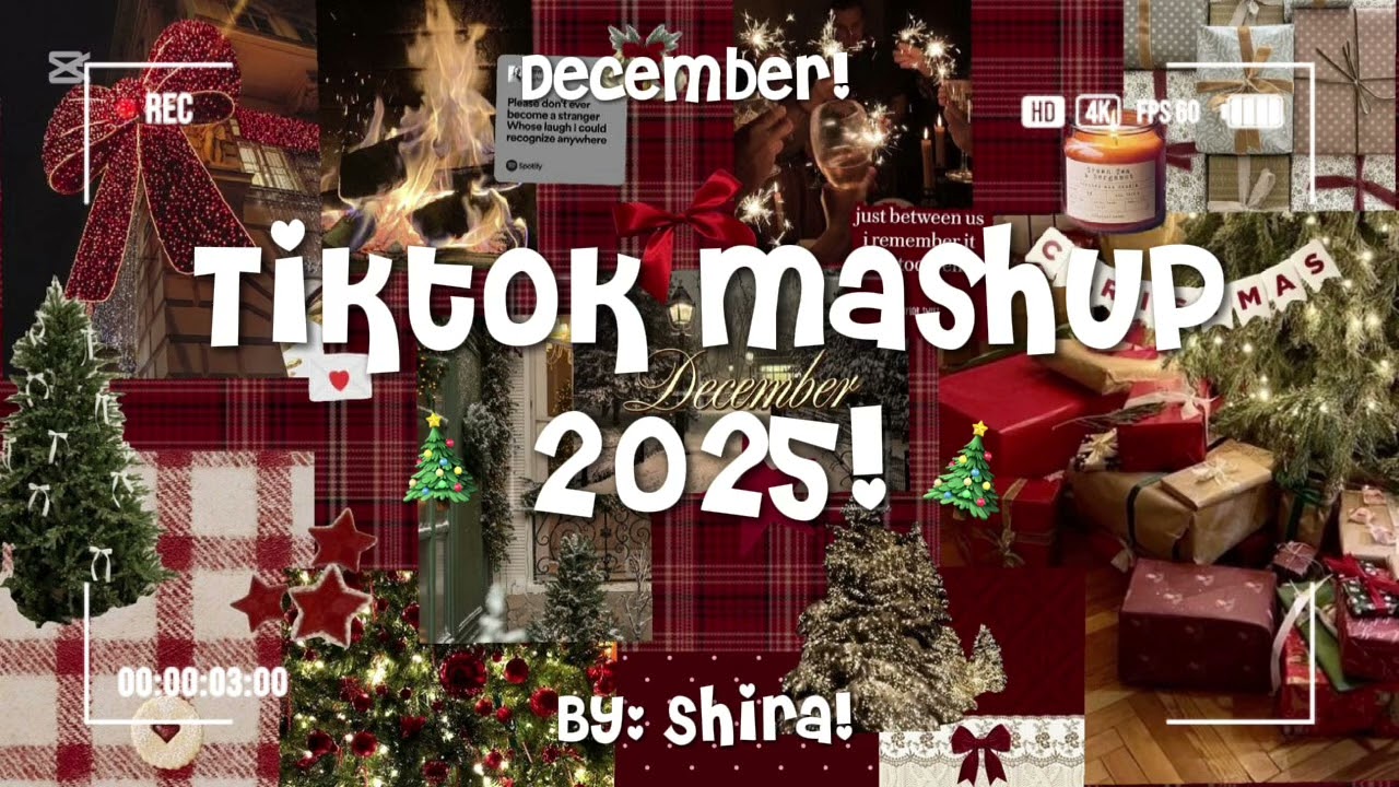 TikTok Mashup 2025! 🎄