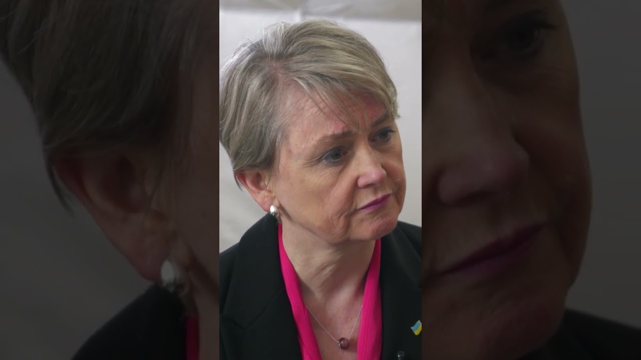 Mandelson's Epstein emails are 'vile'