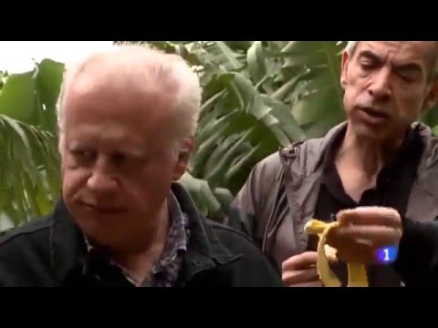 La Gomera: Un País para Comérselo 🍽️