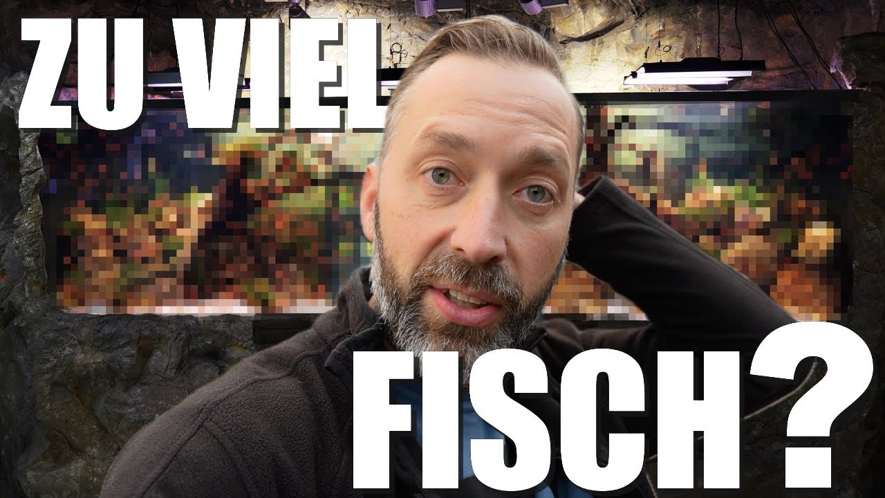 Unglaubliches Aquarium-Update: 1000 Albino-Bitterlingsbarben im Kölle Zoo Heilbronn! 🐟