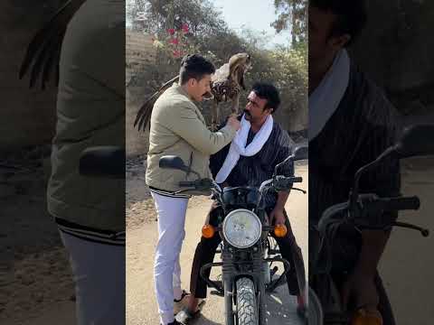 احمد العوضي فهد البطل ونبويً وشمس ❤️ #شمس_نبوي_مصر 🤍🇪🇬🦅 #ملكه_العقبان_ف_مصر 🤍🇪🇬🦅