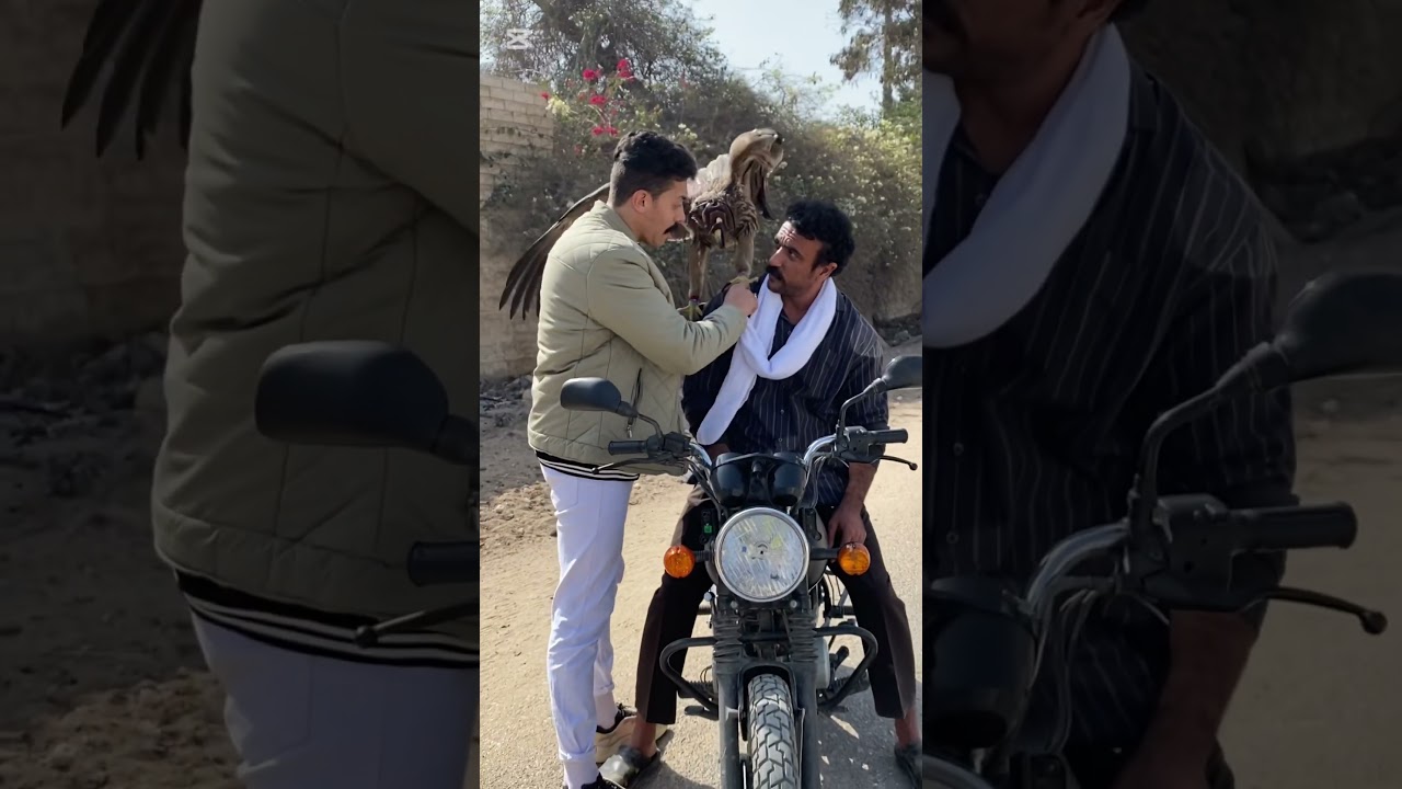 احمد العوضي وفهد البطل ونبوي وشمس يثيرون الجدل في مصر 🇪🇬