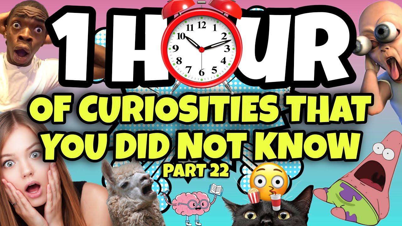 1 Hour of Fascinating Curiosities and Unknown Facts #22