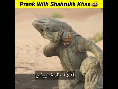 Prank With Shahrukh Khan In Dubai || Ramez galal Dangerous Prank With Shahrukh Khan #shorts