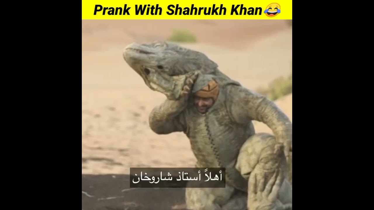 Shahrukh Khan Prank in Dubai by Ramez Galal π¬