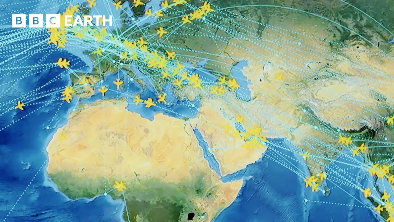 Takeoff to Landing: The World of Aviation ✈️