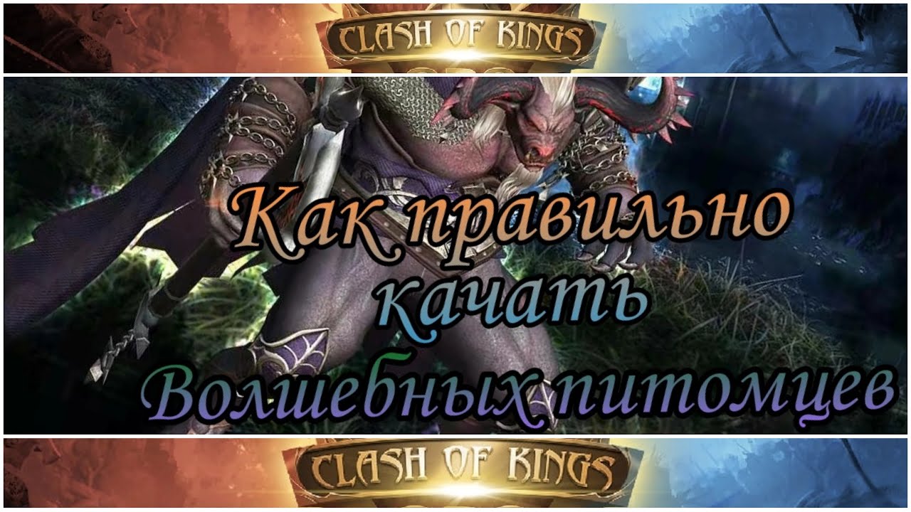 Clash of Kings: Быстрый рост процентов с питомцами 🐾