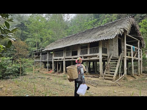 The Homeless Woman Discovering a Giant Abandoned House in the Woods