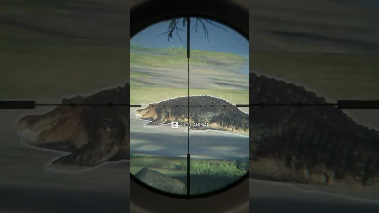 Took Down a Rare Melanistic Saltwater Croc! 🐊