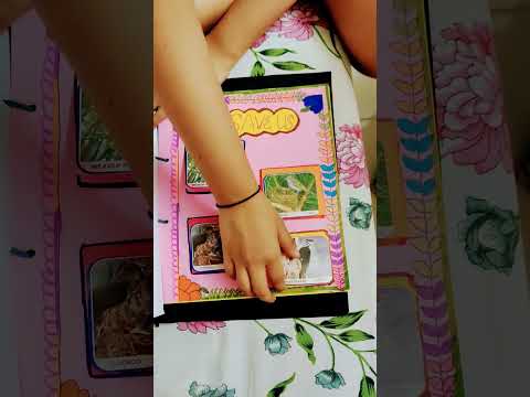 save birds file project