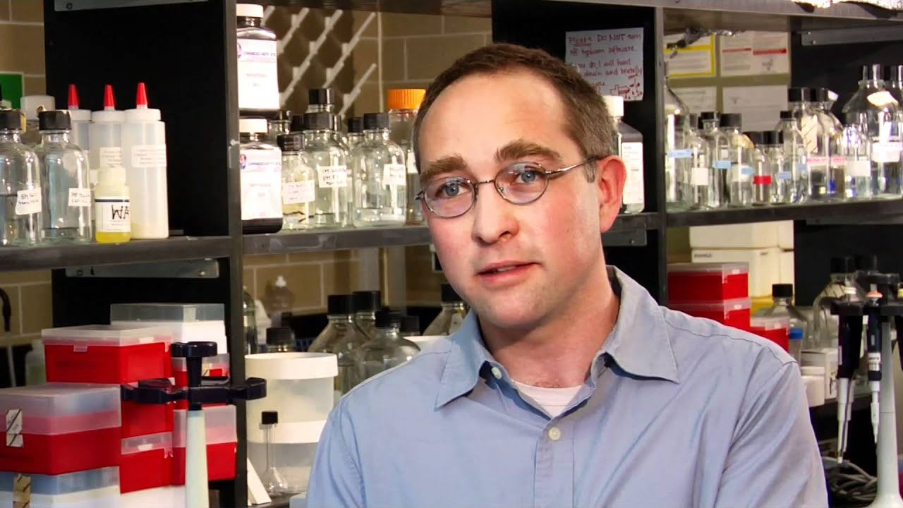 Discover Cutting-Edge Applied Math Research at the University of Waterloo 🔬