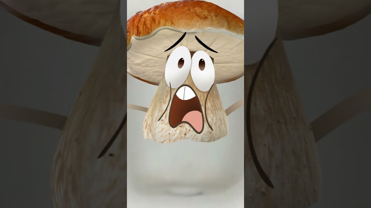 Scarier Stories with Bello the Mushroom 🌿