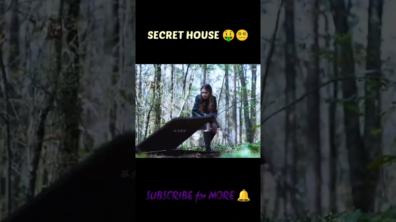 क्या है तहखाने के अंदर? जानिए रहस्यपूर्ण घर का खुलासा! 🏚️