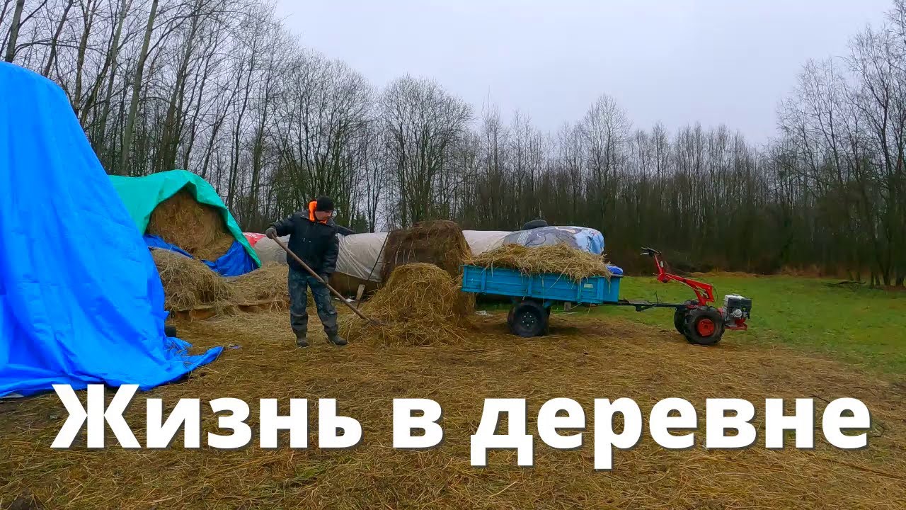 Теплый декабрь и горячая вода в деревне 🌾