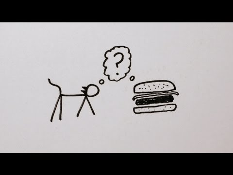 Schrödinger's Cat Explained 🐱