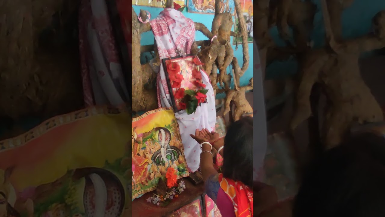 Mansa Devi's Miracles β¨