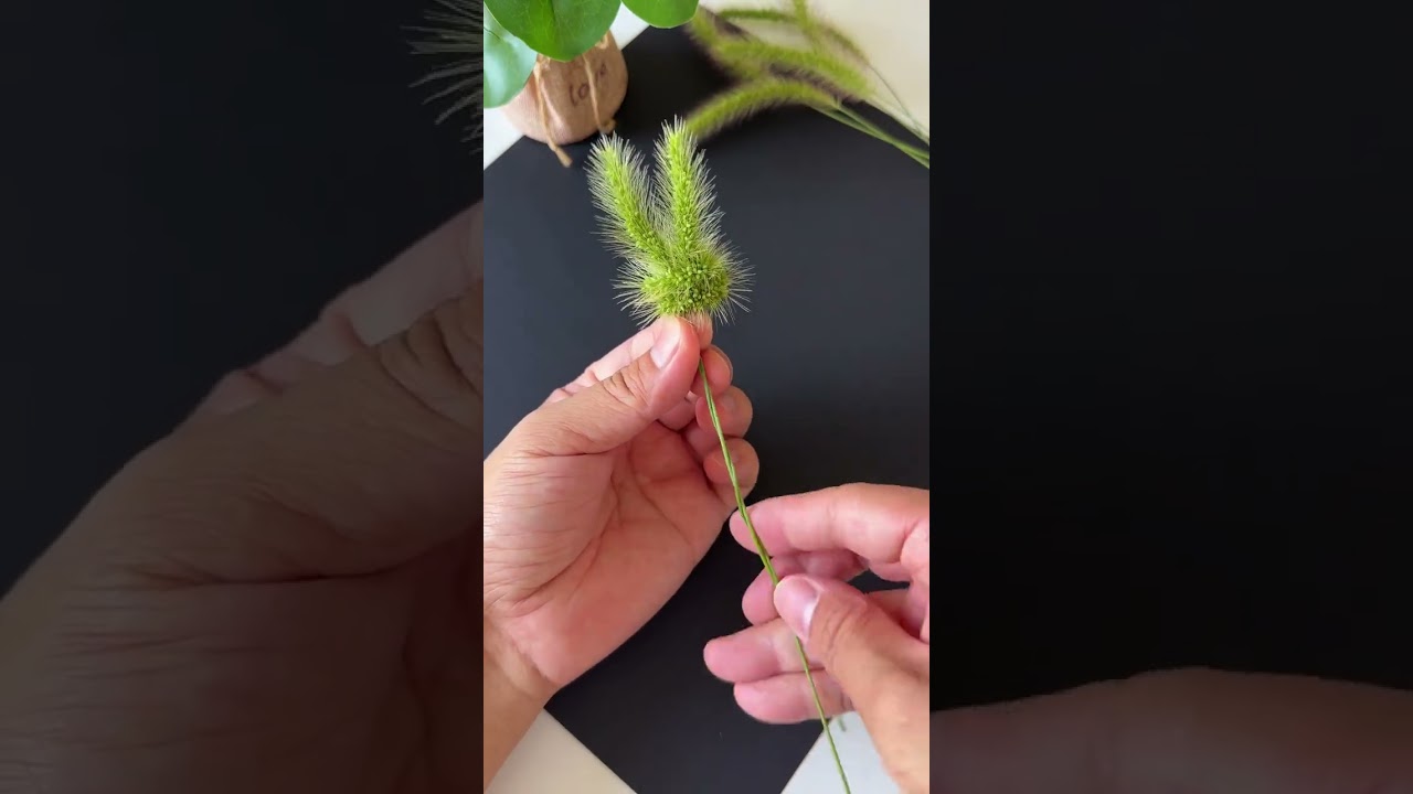 DIY Rabbit Ring with Dog Tail Grass π