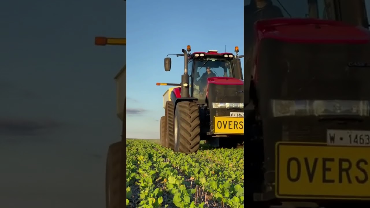 Happy Frame 2021: Modern Farming with Noal Farm π