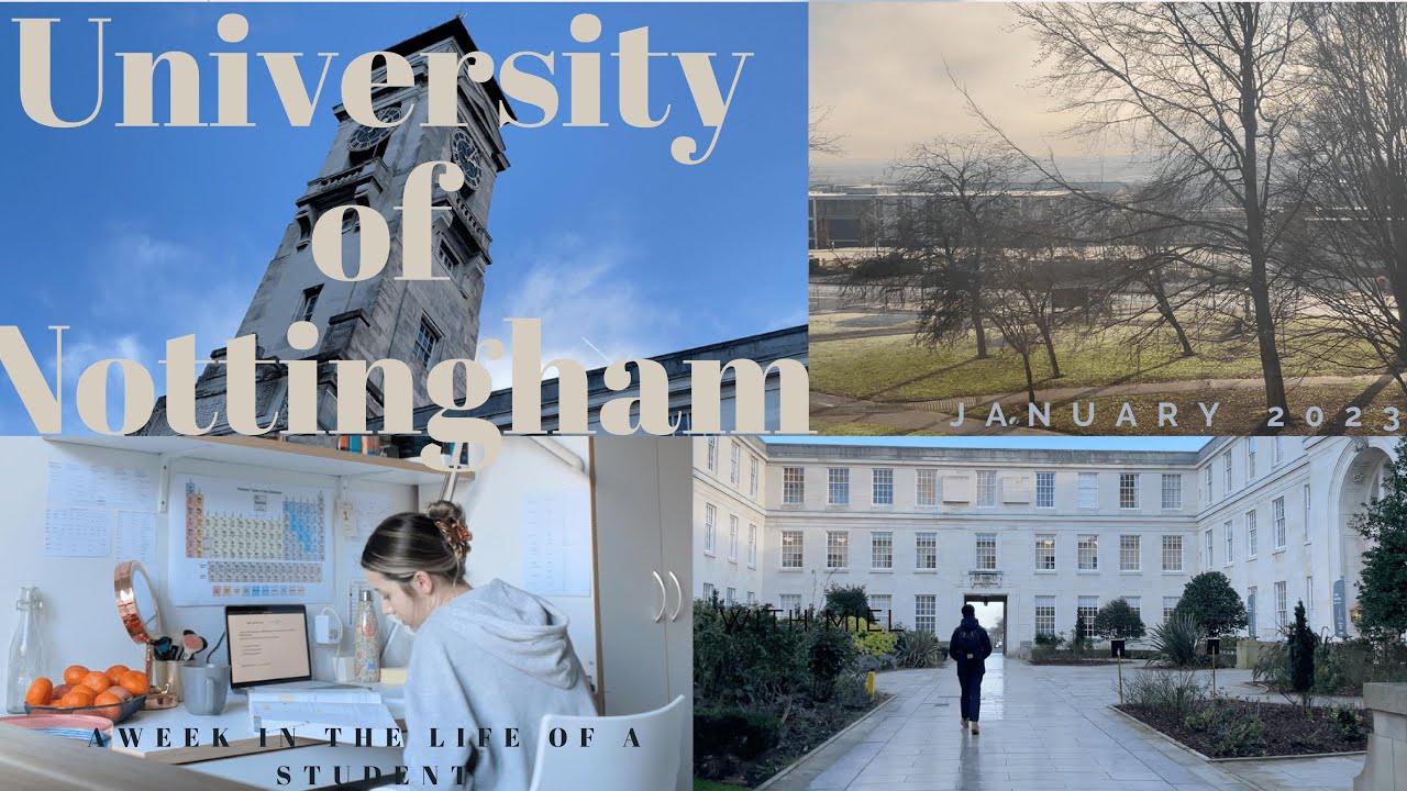 A Week in My Life at the University of Nottingham's School of Chemistry 🧪