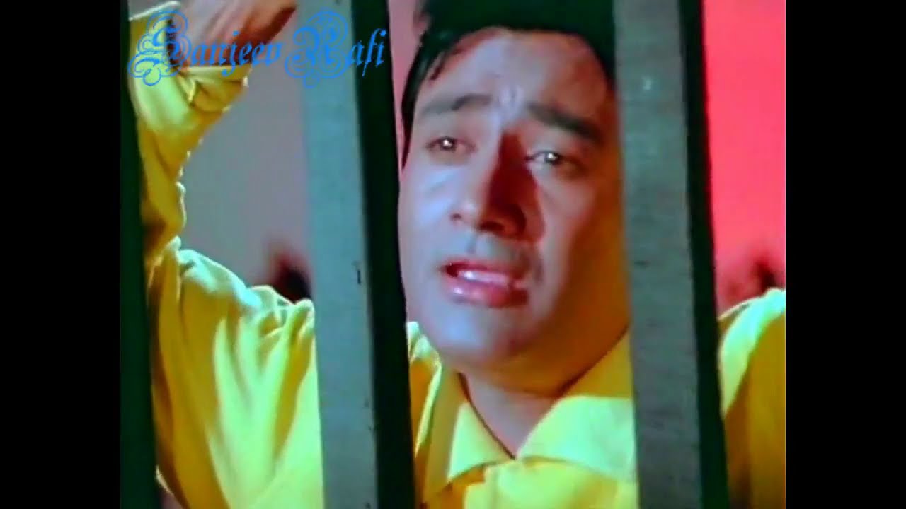 Kya Se Kya Ho Gaya Bewafa Tere Pyar Mein - Guide (1965) 🎶