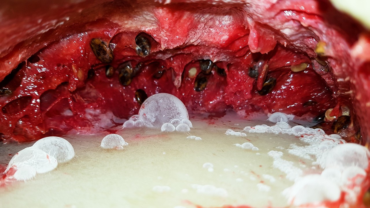GoPro Inside Watermelon for 128 Days 🍉